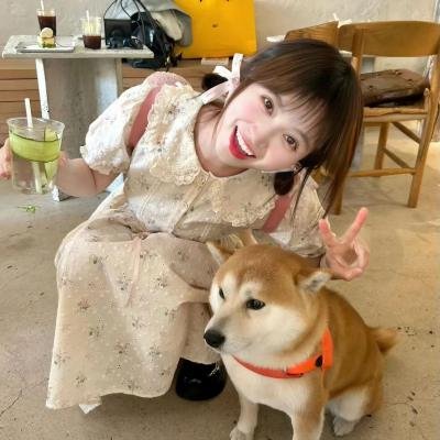 暗恋橘生淮南 封面