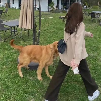 恐怖禁忌之红旗袍 封面